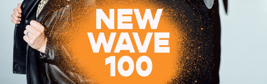 Willy New Wave 100