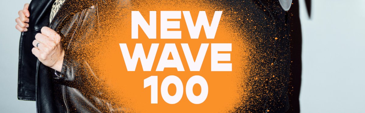 Willy New Wave 100